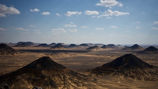 BLACK DESERT AND BAHARIYA OASIS TOUR
