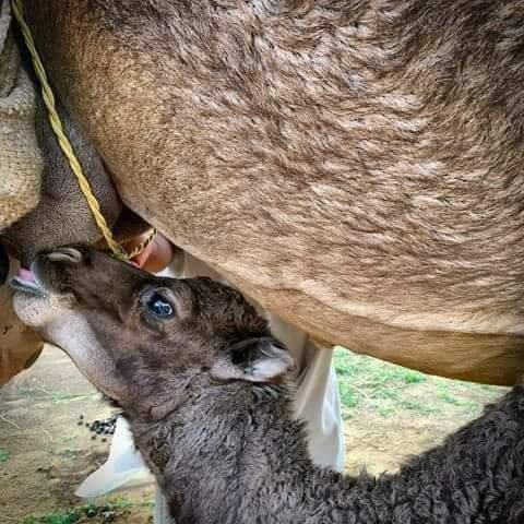 488625912_1181690352966816_2108413159896985221_n