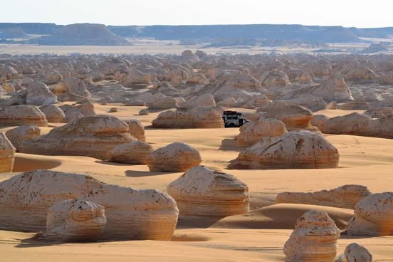 488991557_9417831121617322_3039167922873885970_n