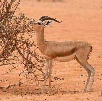 489027064_630974366394544_8660417770408951342_n