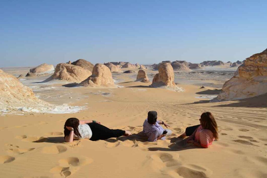 One Day White Desert & Black Desert Tour from Cairo)