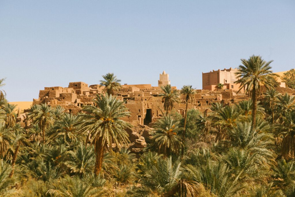 Explore ancient desert architecture surrounded by lush palm trees under a clear blue sky.