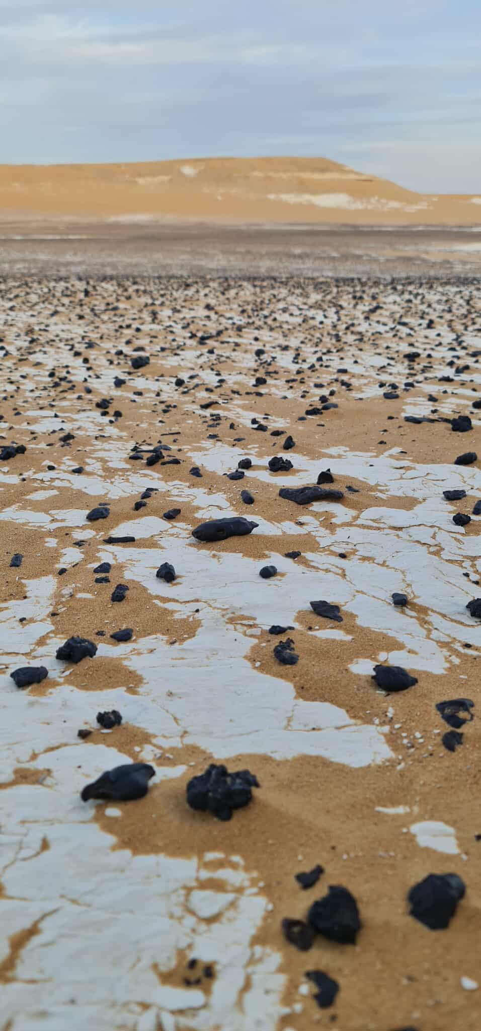 517204764_1772477337040898_5313852961094785380_n