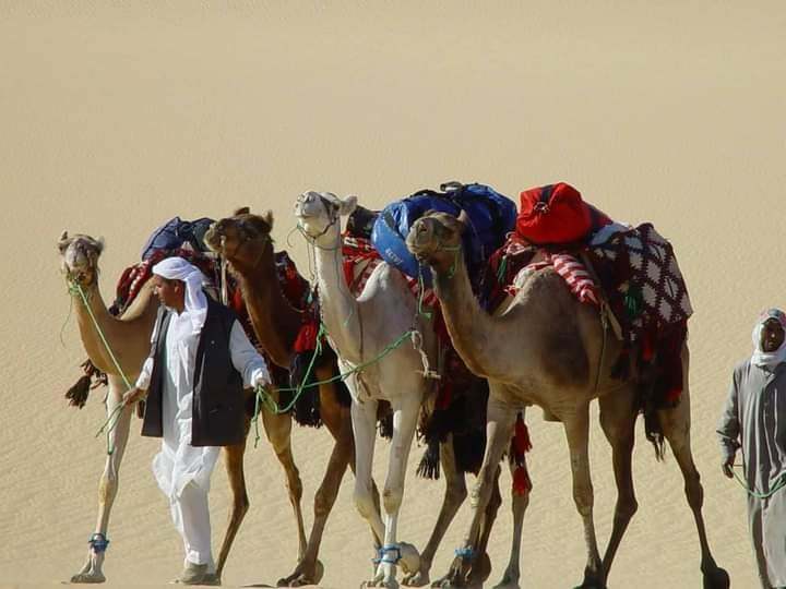 487815554_3997555767122930_945365227023373782_n