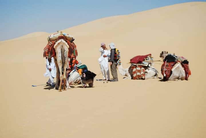 517883761_30306569348986603_2270841676852457853_n