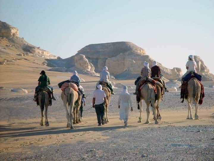 518469963_762686469547143_2460528821209992230_n