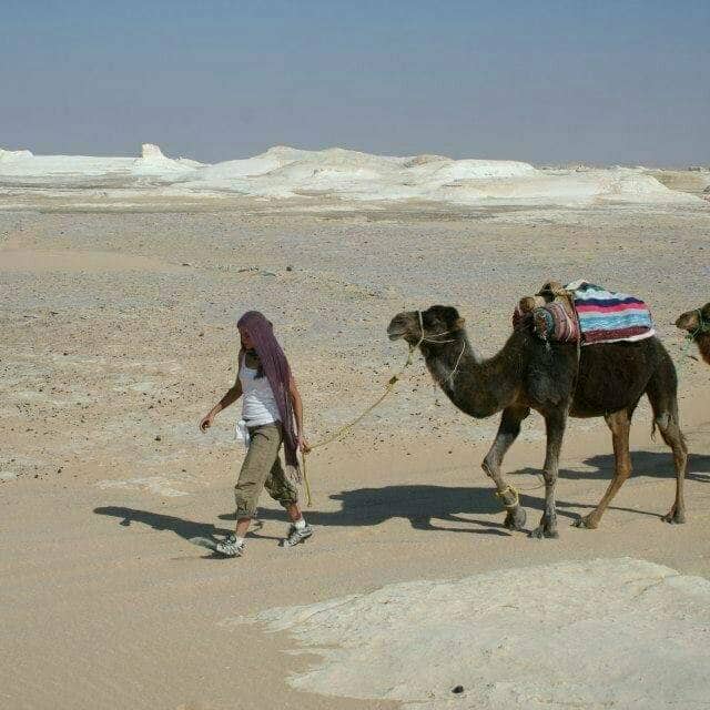 520824287_1099589612270184_1241496719760169509_n