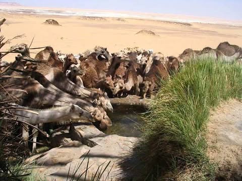 Black and white Desert tour Egypt